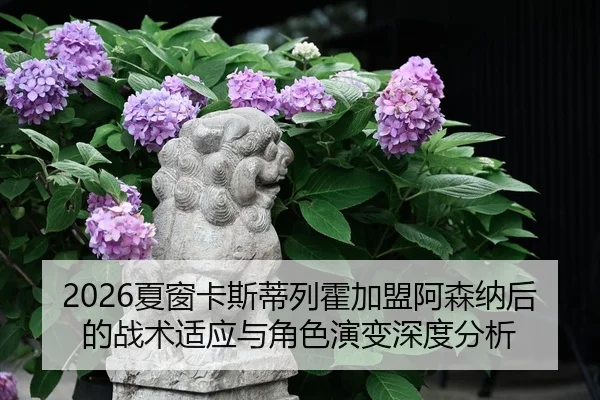 2026夏窗卡斯蒂列霍加盟阿森纳后的战术适应与角色演变深度分析