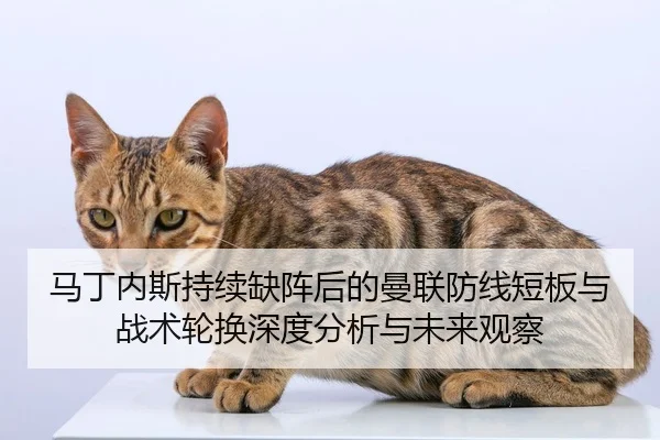 马丁内斯持续缺阵后的曼联防线短板与战术轮换深度分析与未来观察